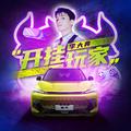 开挂玩家