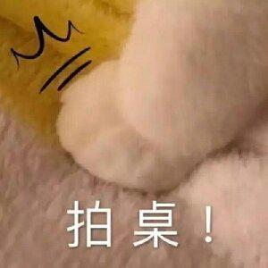 纯音乐｜本人学习歌单（四）