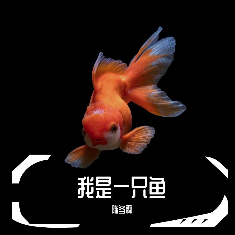我是一只鱼