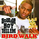Bird Walk专辑