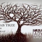 Baobab Tree专辑