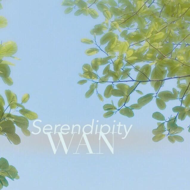 Serendipity专辑