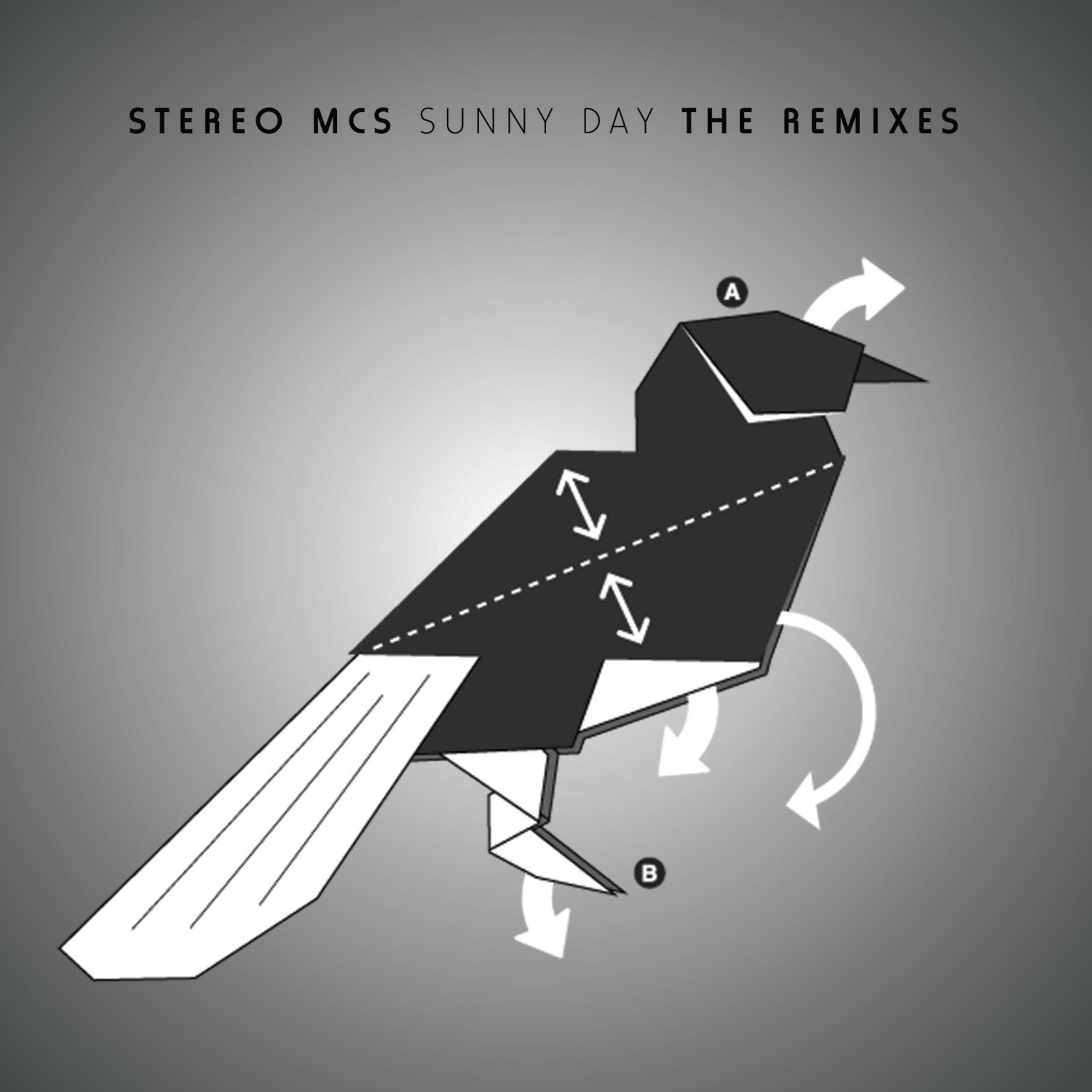 Sunny Day The Remixes