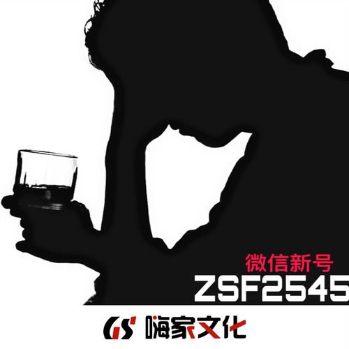 zsf(纯音乐)