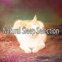 Natural Sleep Selection专辑