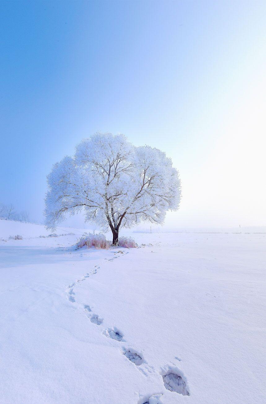 没有你的冬天专辑