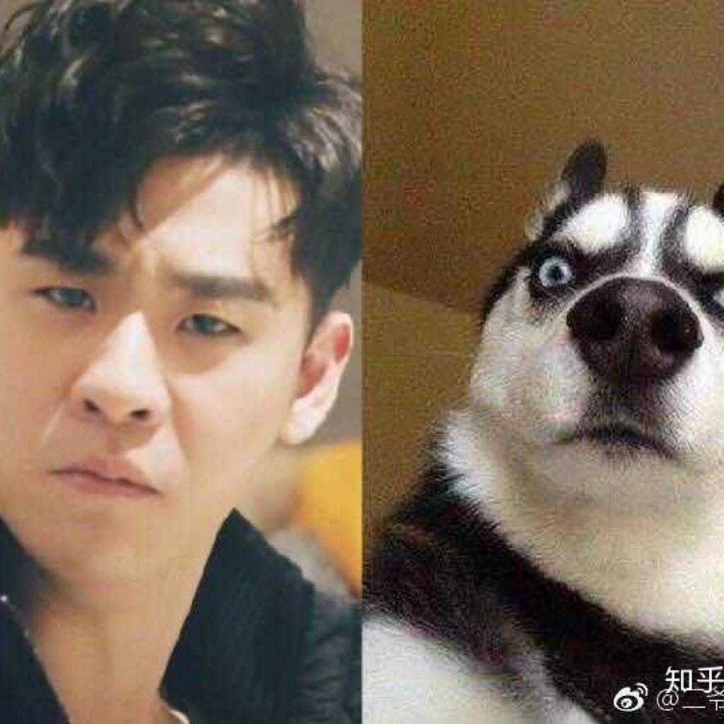 张云雷小粉丝的功课