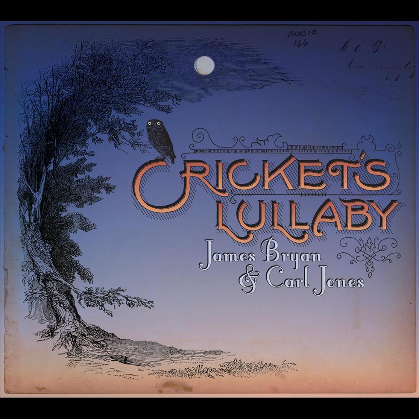 Cricket's Lullaby