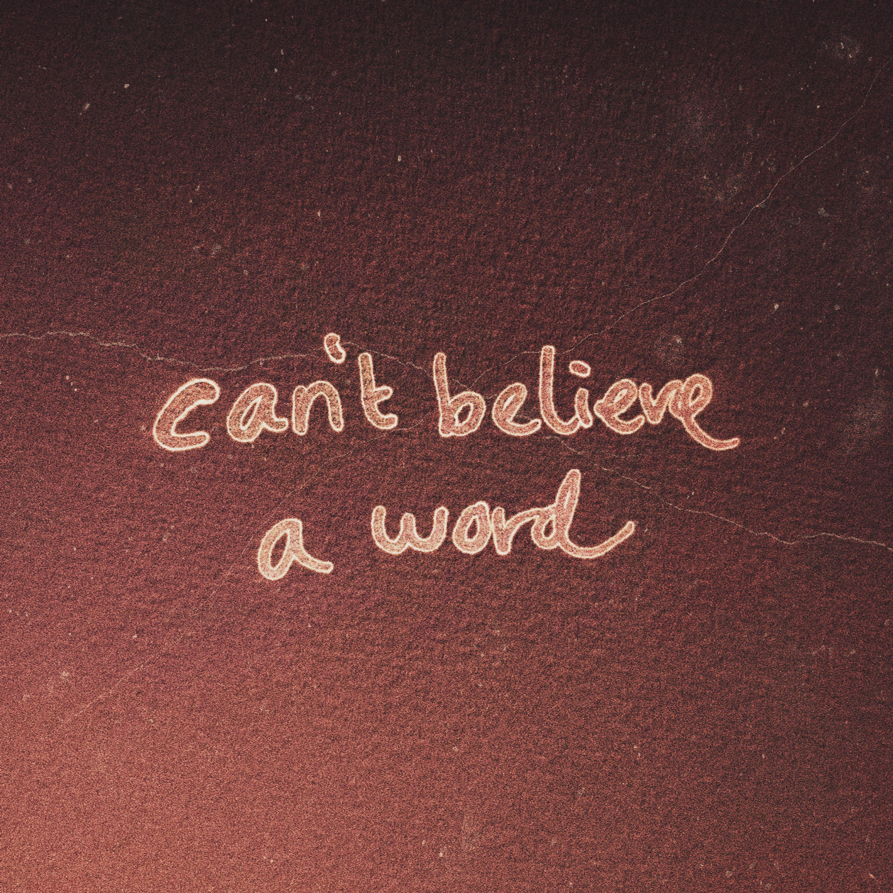 Can't Believe A Word