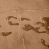 Mathilde