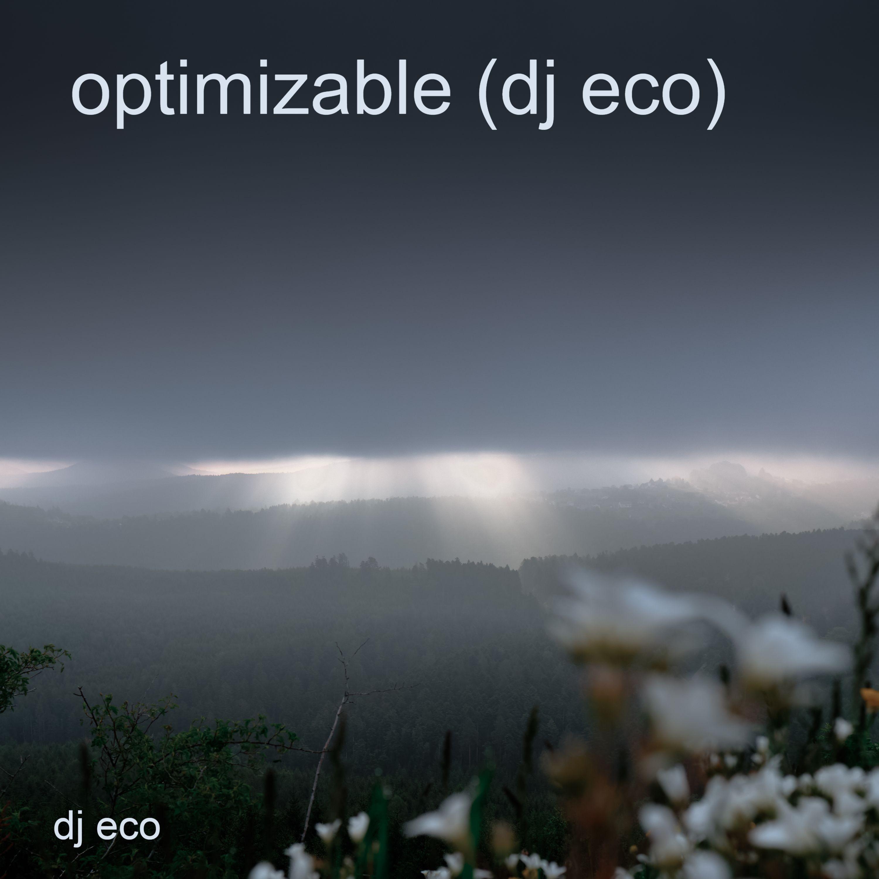 Optimizable