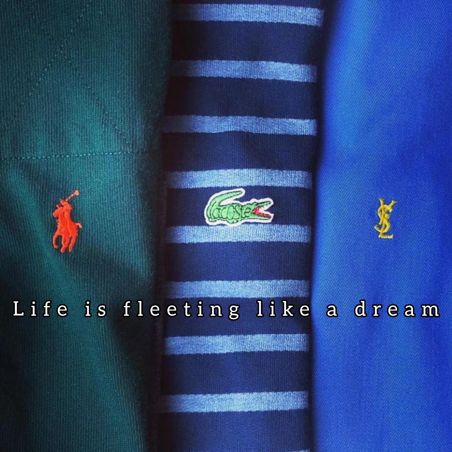Life Is Fleeting Like A Dream