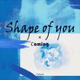 Shape of You