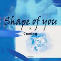 Shape of You专辑