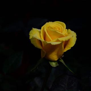 我用什么才能留住你