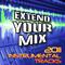 Extend Your Mix - 2011 Instrumental Tracks专辑