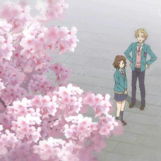 无论何时我们的恋情都是10厘米。❤