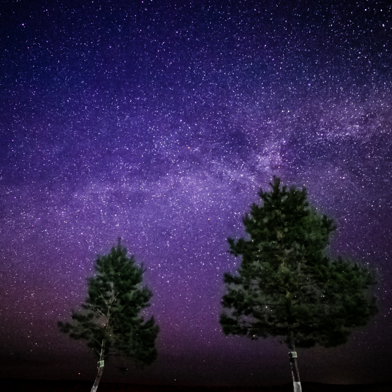 钢琴·请记住我