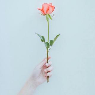 【婚礼必备】让你心动的那个ta
