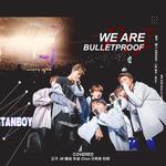 We Are Bulletproof Pt.2专辑