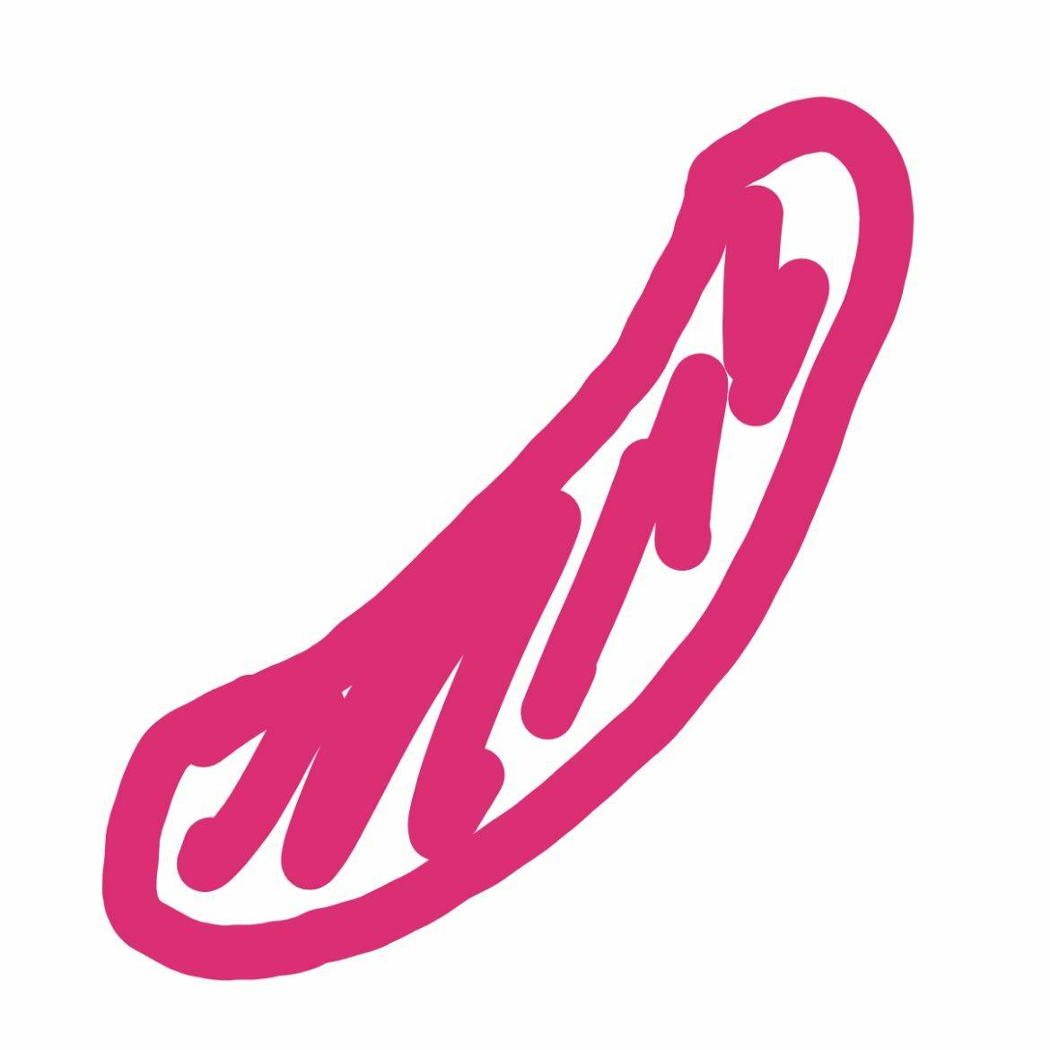 格林威治嬉皮研究公社