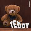1990nowhere - Teddy