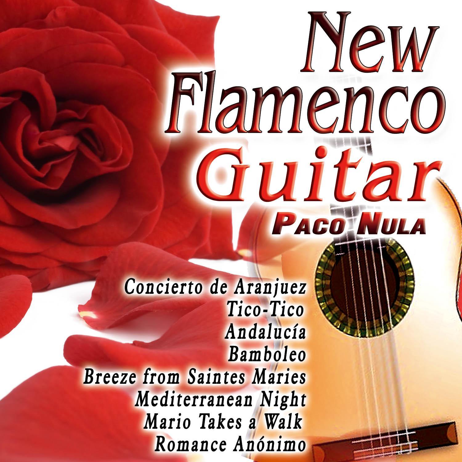 New Flamenco Guitar