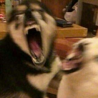 哒哒哒