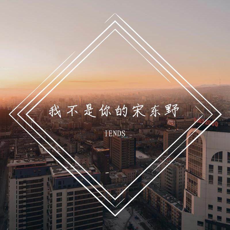 我不是你的宋东野（live片段）翻自：刘大壮