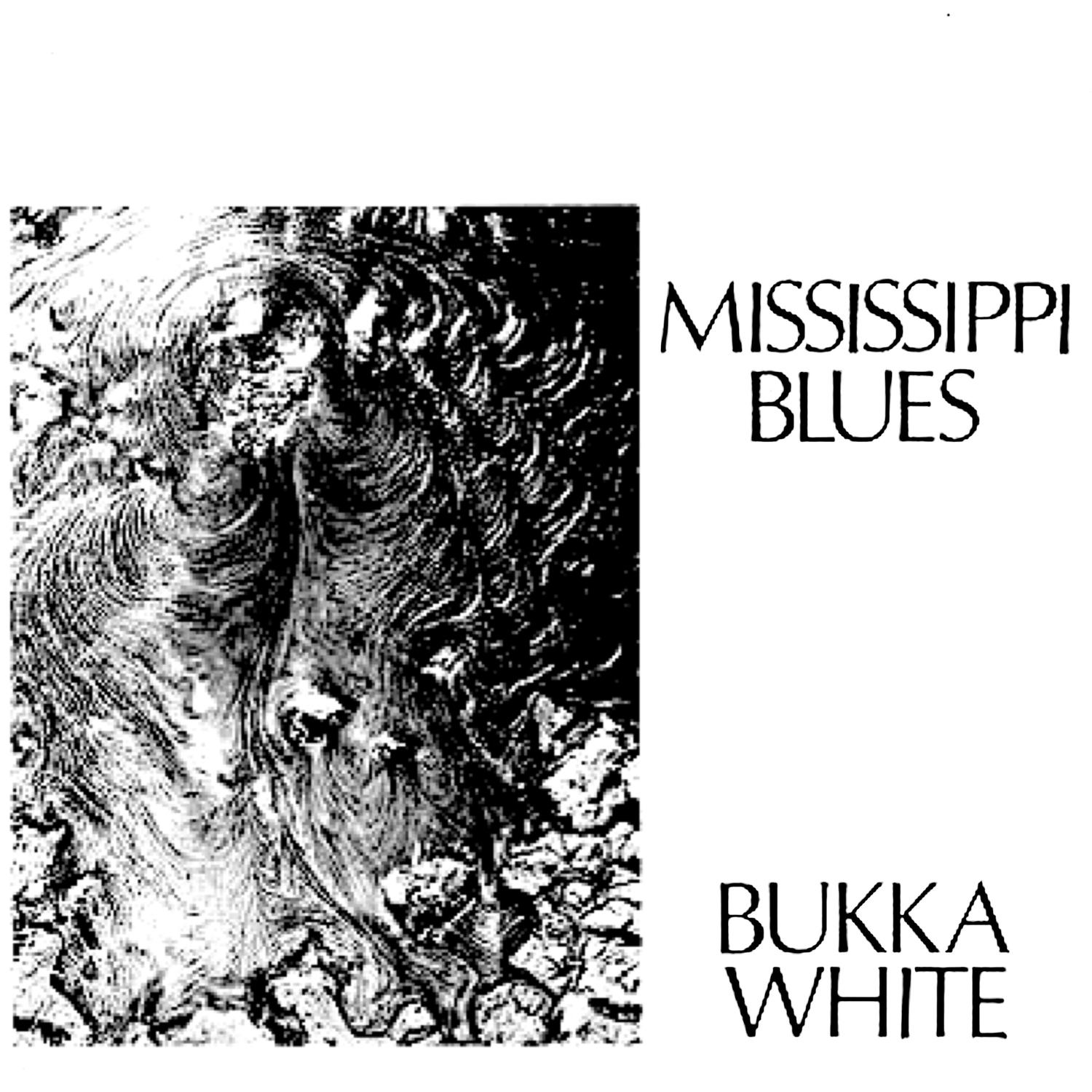 Bukka White Revisited