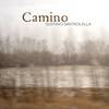Camino专辑