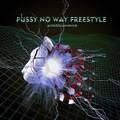 ***NO WAY FREESTYLE