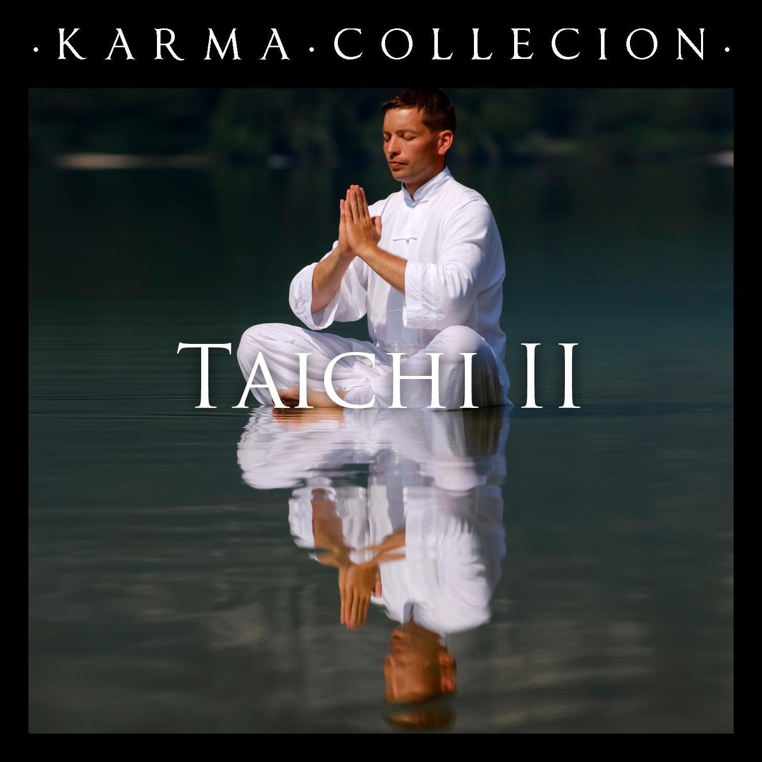 Karma Collection: Taichi II专辑