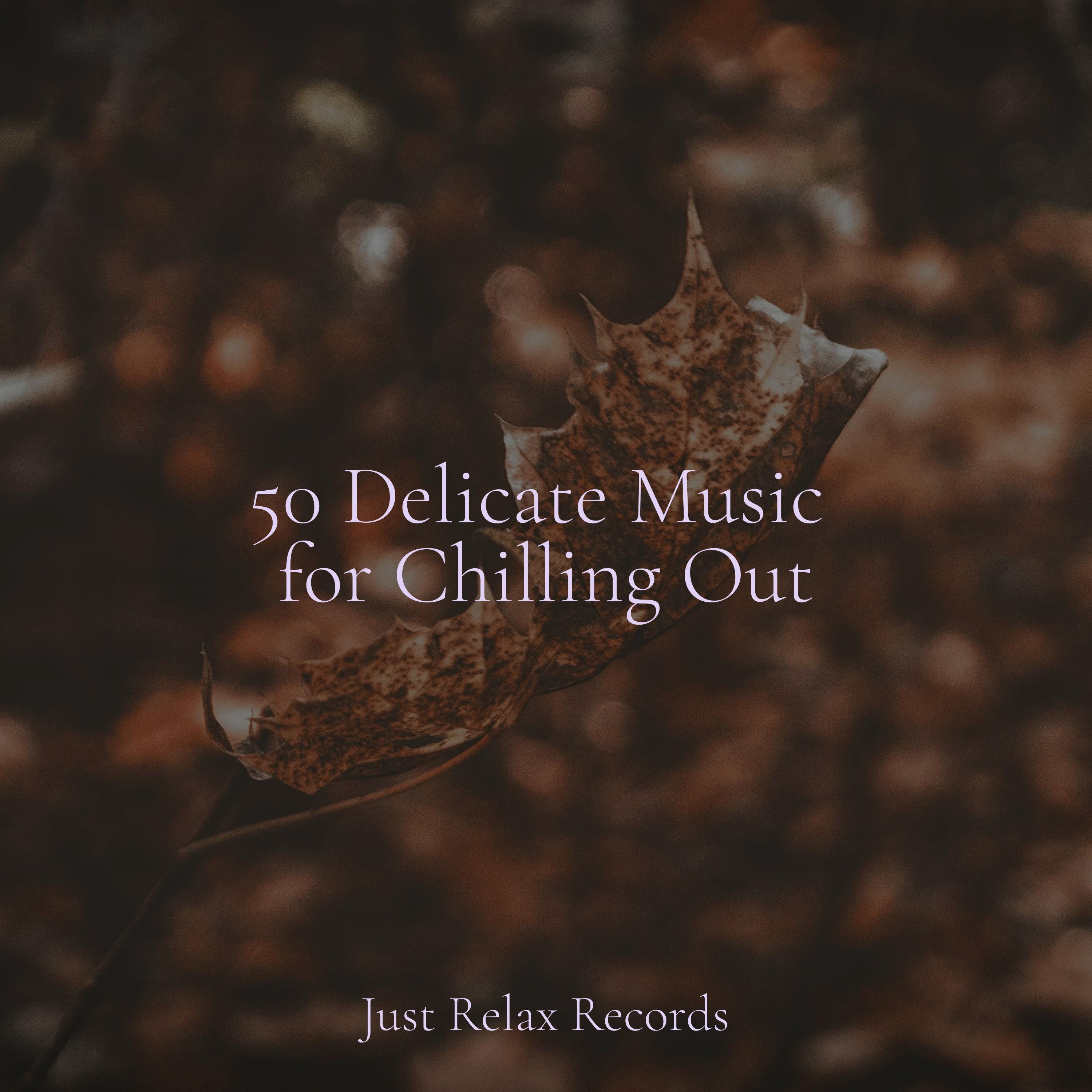 50 Delicate Music for Chilling Out - Lucid Dreaming World-Collective ...