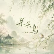 呆头鸟专辑