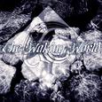 The Waking World