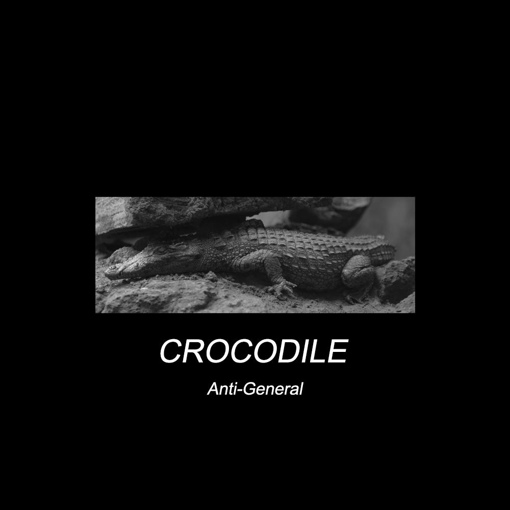 Crocodile专辑