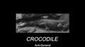 Crocodile专辑