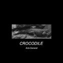 Crocodile专辑