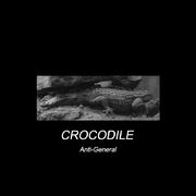 Crocodile