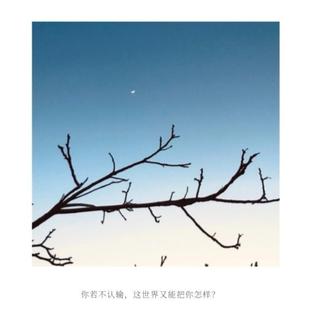 民谣，摇进你心里的那种