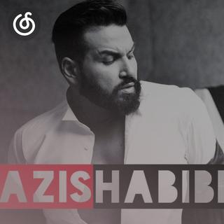 阿拉伯流行精选|从《Habibi》听起