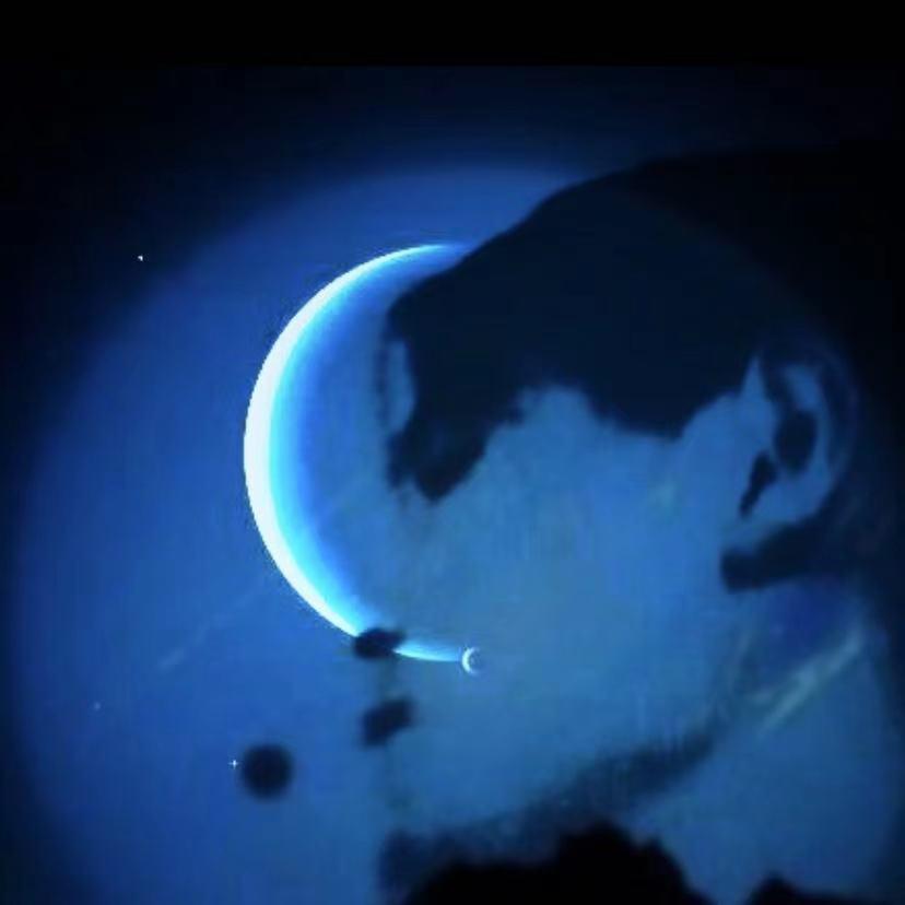 崔顿的海王星