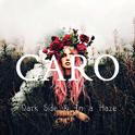 Dark Side & In a Haze(CARO Mashup)专辑