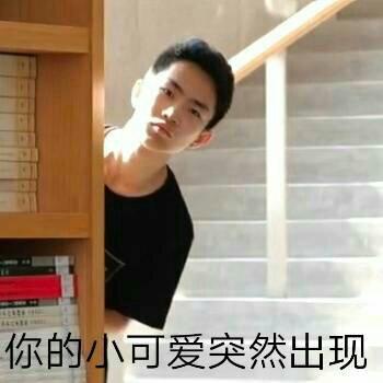 老师好我是何同学的歌单