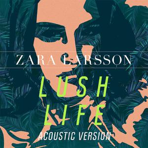 Lush Life - Zara Larsson (unofficial Instrumental) 无和声伴奏 （降5半音）
