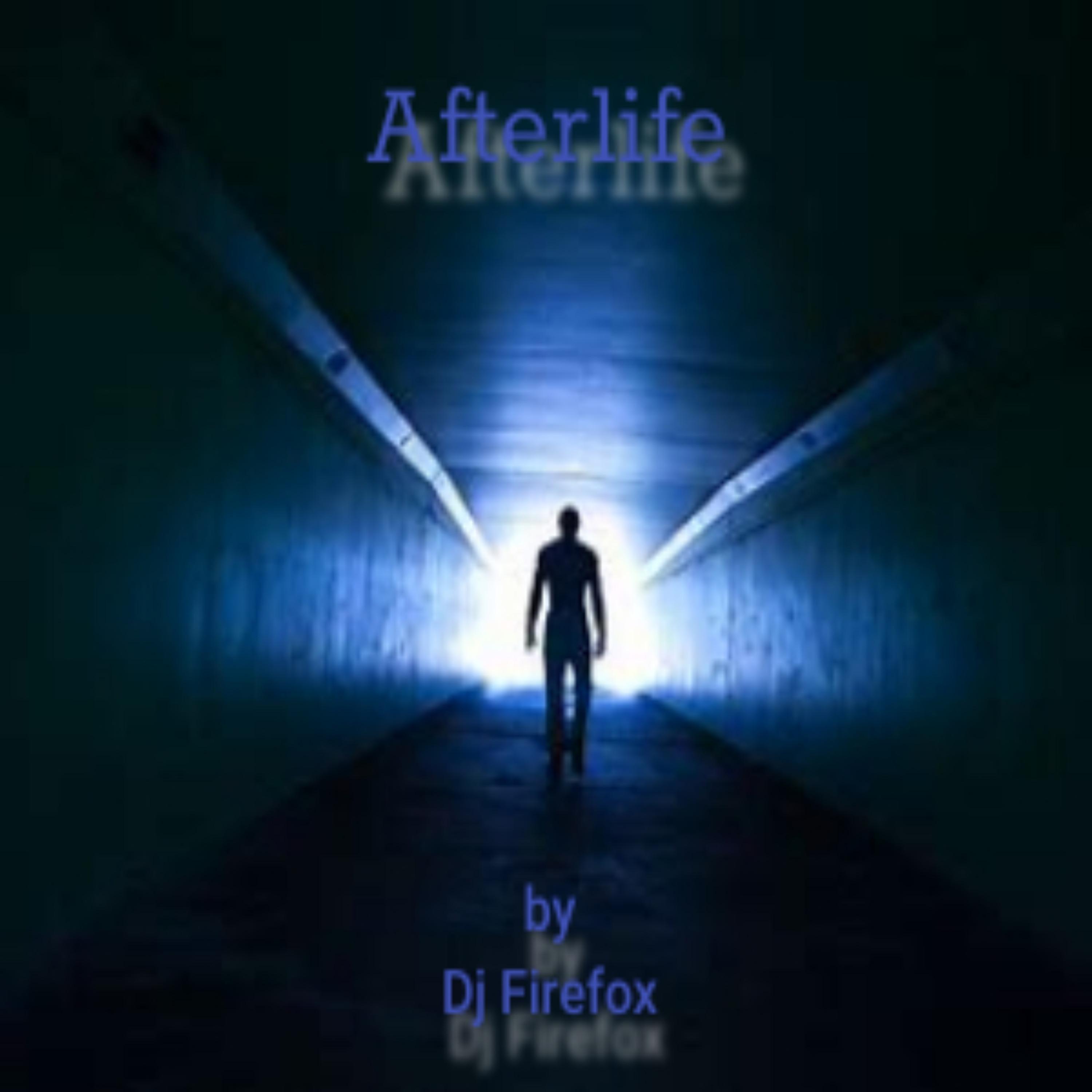 The Afterlife