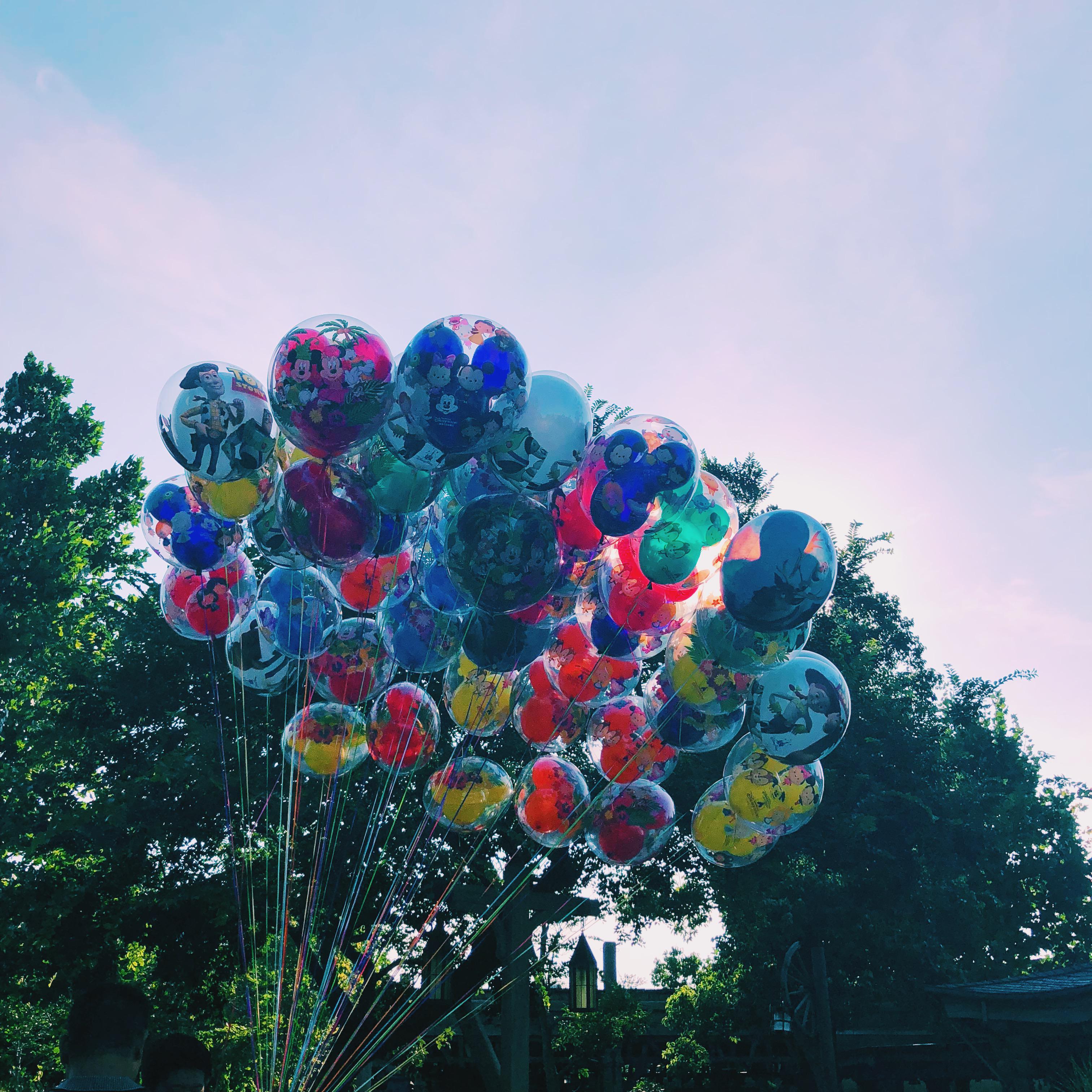 祝她（cover：陈小刀）