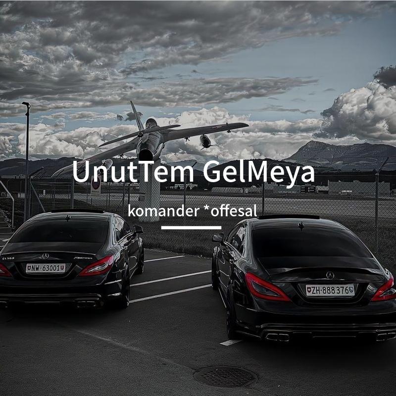 UnutTem GelMeya
