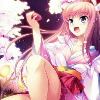 四月盛宴｜❁樱花赋曲，落去成歌❁